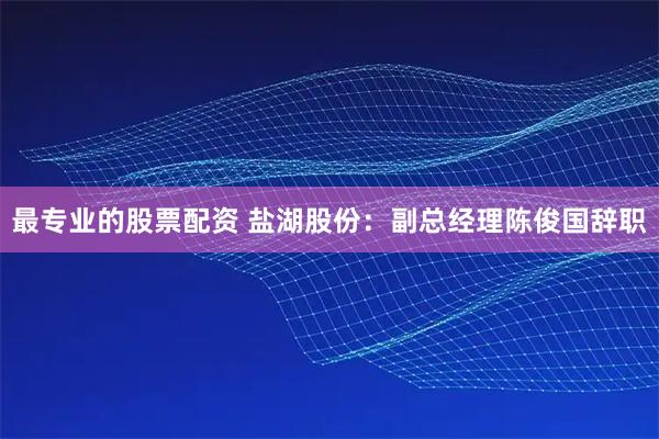 最专业的股票配资 盐湖股份：副总经理陈俊国辞职
